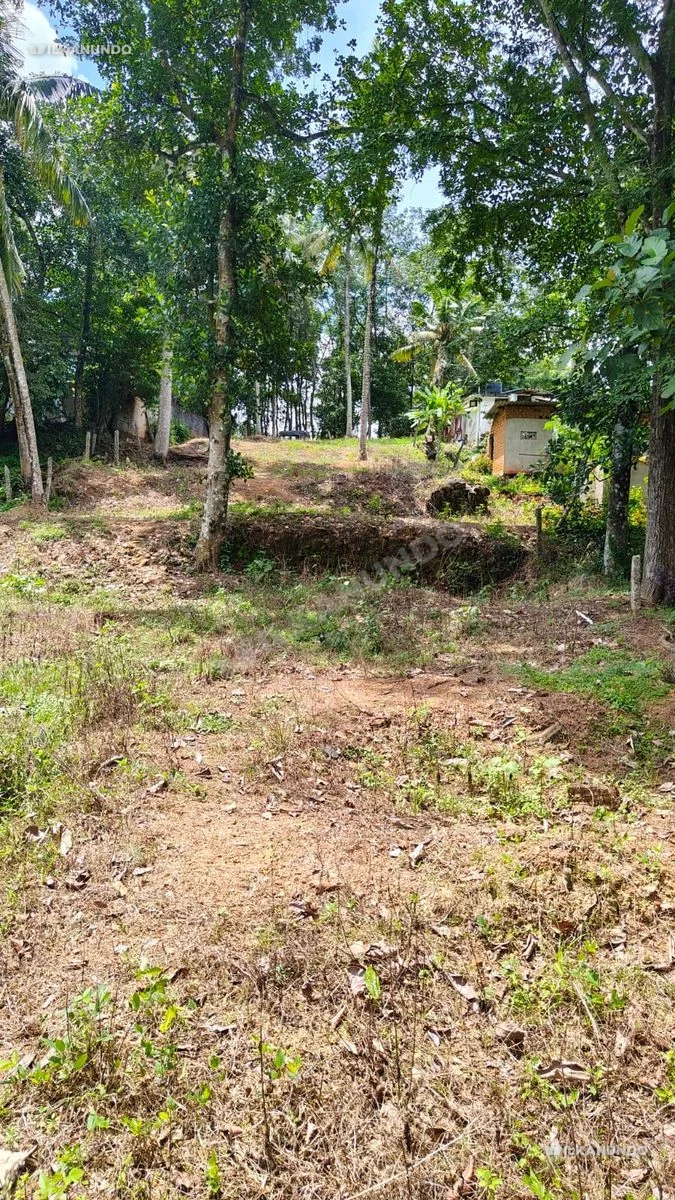 19 സെന്റ് സ്ഥലം വിൽപ്പനയ്ക്ക് റോഡ് സൈഡ് വണ്ടി സൈറ്റ് തിരിച്ചുവയ്ക്കാൻ പറ്റിയ നല്ലൊരു വാസ്തു