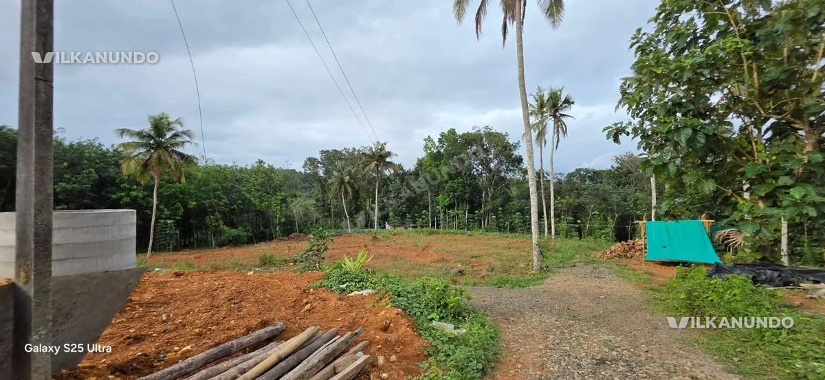 പാലാ പള്ളിക്കത്തോട് റൂട്ടിൽ പൂവത്തിളപ്പിനു സമീപം ഹൗസ് പ്ലോട്ട് വില്പനയ്ക്ക്