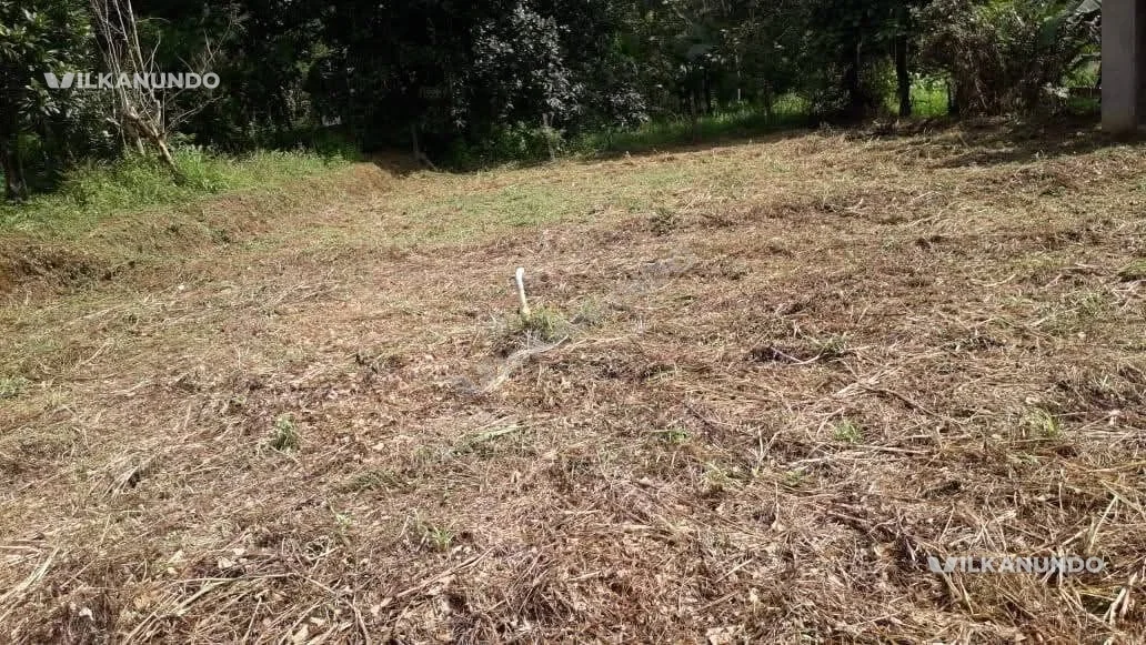 28 CENT house plot for sale in ARIPRA Near Thirurkad and Mankada for sale