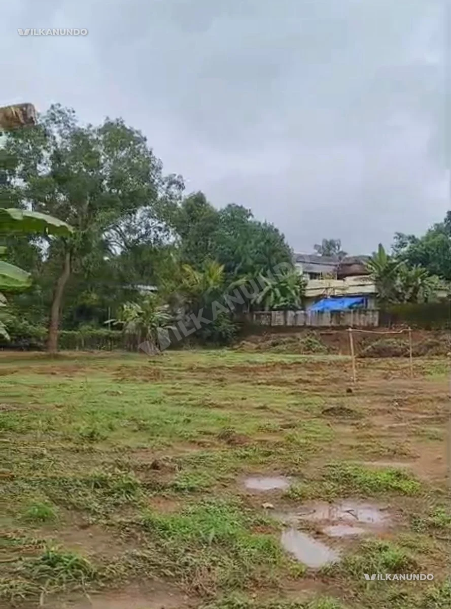 സ്ഥലം വിൽപ്പനക്ക് - കുന്നുകര