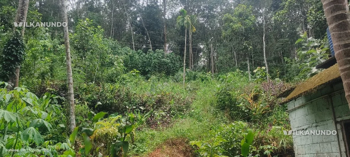 home and plot