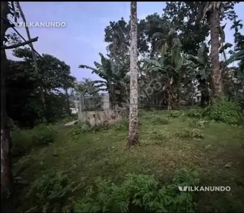 കോഴിക്കോട് മെഡിക്കൽകോളേജ് അടുത്ത് ബസ്റോഡിൽ നിന്നും കുറഞ്ഞദൂരം 8.25സെന്റ് സ്ഥലം വിൽപനക്ക്