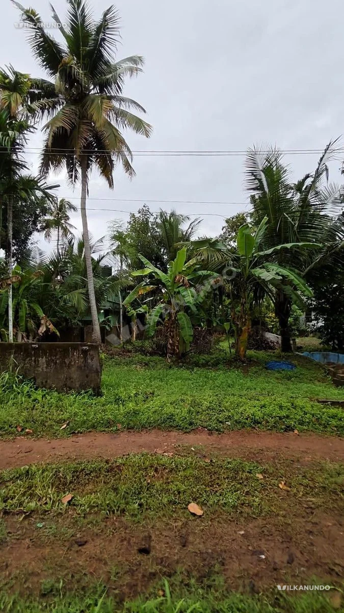 8 സെന്റ് സ്ഥലം വിൽപ്പനയ്ക്ക് – ഉദയംപേരൂർ, തൃപ്പൂണിത്തുറ