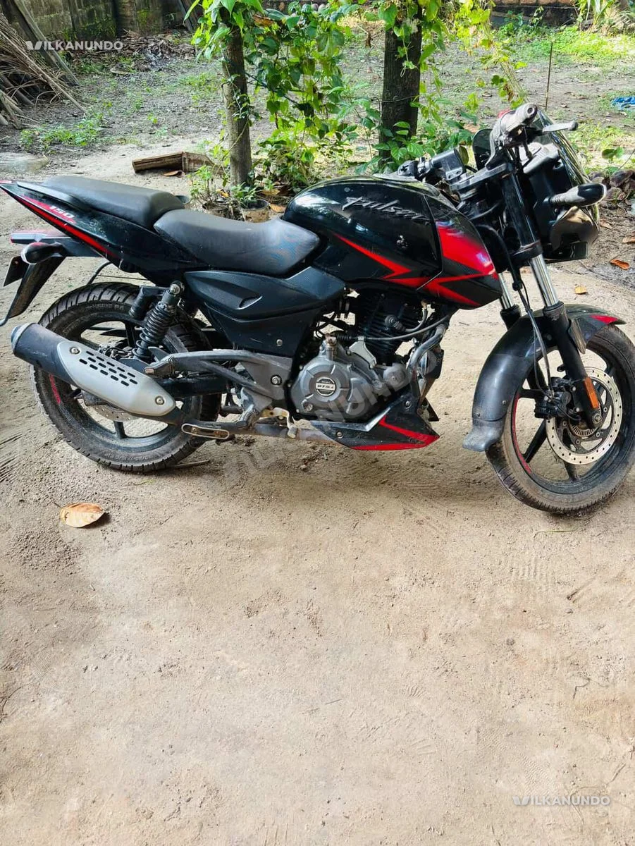 pulsar 150 twin disc 2021 model