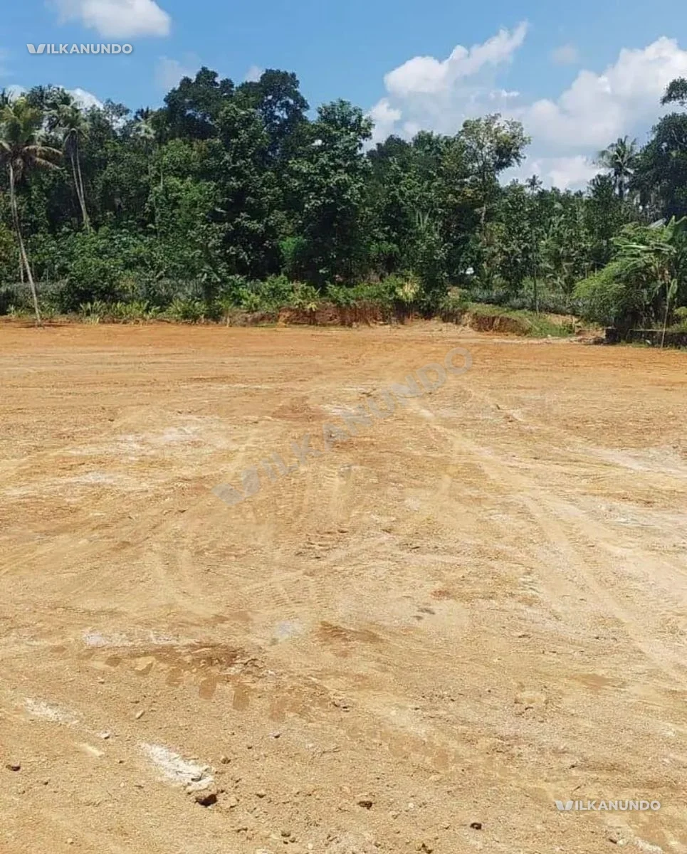 House plot വിൽപനയ്ക്ക്. Cent 1 ലക്ഷം. കടവൂർ.. ഞാറക്കാട്. ( മൂവാറ്റുപുഴ_ വണ്ണപ്പുറം ബസ് റൂട്ട്