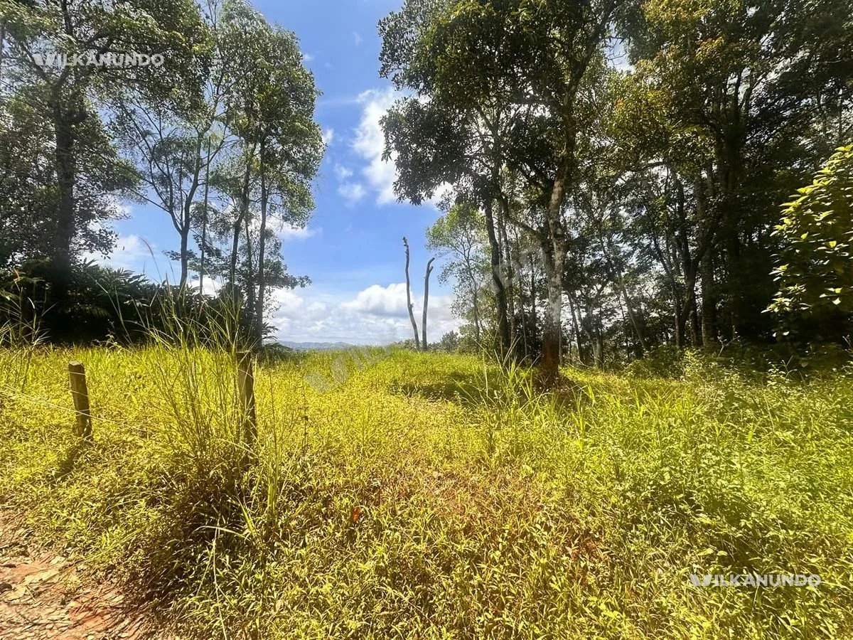 Land for sale at Munnar Kerala suitable for Resort and cottages 13 cent