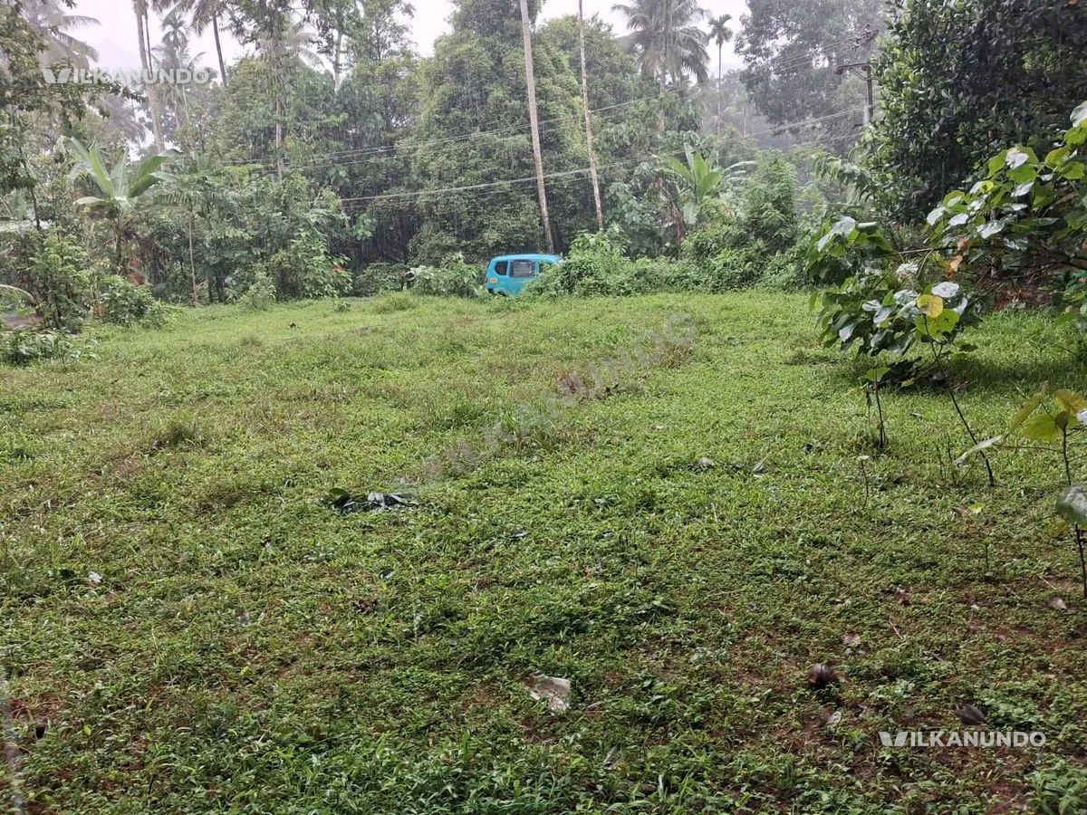 തൃശൂർ ജില്ല ചാലക്കുടി മോതിരകണ്ണി നമ്പ്യാർപടിയിൽ10 സെന്റ് സ്ഥലം വിൽപ്പനയ്ക്ക്.