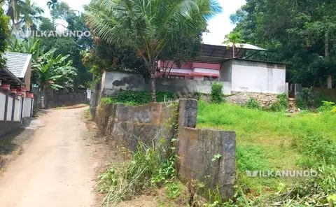 പത്തനംതിട്ട ജില്ലഅടൂർ ബൈപാസിന് സമീപം 200 മീറ്റർ മാറിസ്ഥലം 19 സെന്റ് പ്ലോട്ട് വിൽപനക്ക്