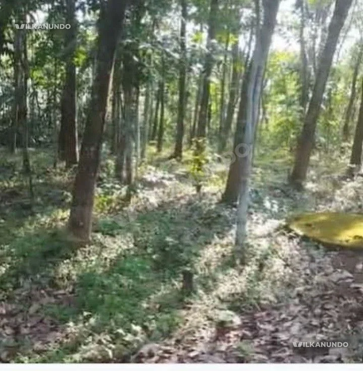 plot sale puthoor nediyavila
