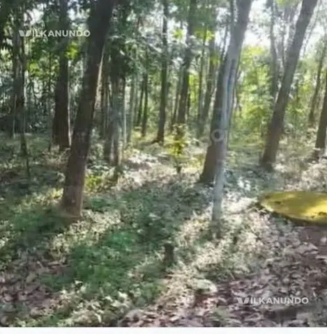 plot sale puthoor nediyavila