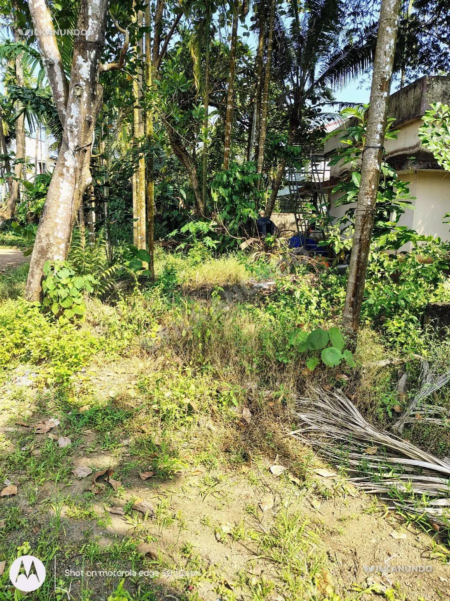 house plot