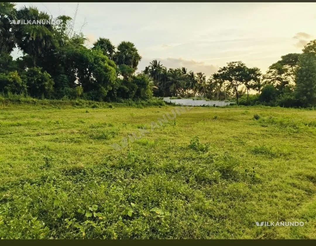 പാലക്കാട് എലപ്പുള്ളി പാറ മെയിൻ ജംഗ്ഷനിൽ നിന്ന് ഒരു കിലോമീറ്റർ ഉള്ളിലോട്ട് 7 സെന്റ് പറമ്പ് വില്പനയ്ക്ക്...