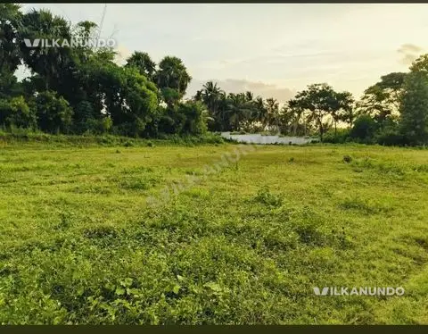 പാലക്കാട് എലപ്പുള്ളി പാറ മെയിൻ ജംഗ്ഷനിൽ നിന്ന് ഒരു കിലോമീറ്റർ ഉള്ളിലോട്ട് 7 സെന്റ് പറമ്പ് വില്പനയ്ക്ക്...