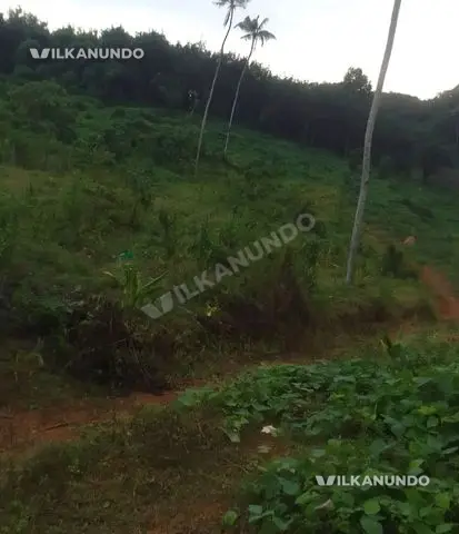 മല്ലപ്പള്ളി ടൗണിൽ നിന്നും 2.5 കിലോമീറ്റർ മാറി അനിക്കാട് പഞ്ചായത്ത്വിക്ക് 7.60 ഏക്കർ ഫാം ലാൻഡ് വിൽപനക്ക്
