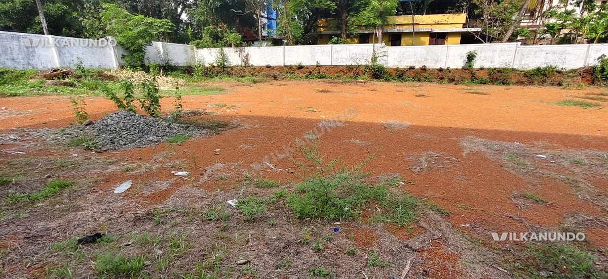 10 cent Square plot near kunnamkulam