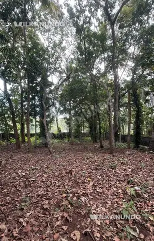 PEROORKADA VAZHAYILA MAIN ROAD FRONTAGE 15 cent Dry Land for sale