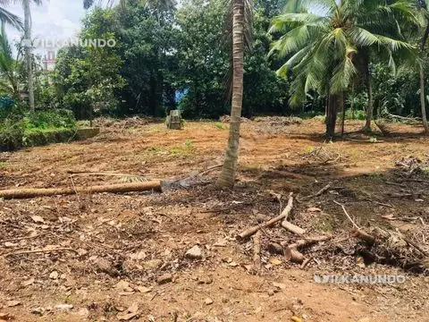 തിരുവല്ല തോട്ടഭാഗത്ത് വീട് വെക്കാൻ അനുയോജ്യമായ സ്ഥലം വിൽപ്പനയ്ക്ക്.