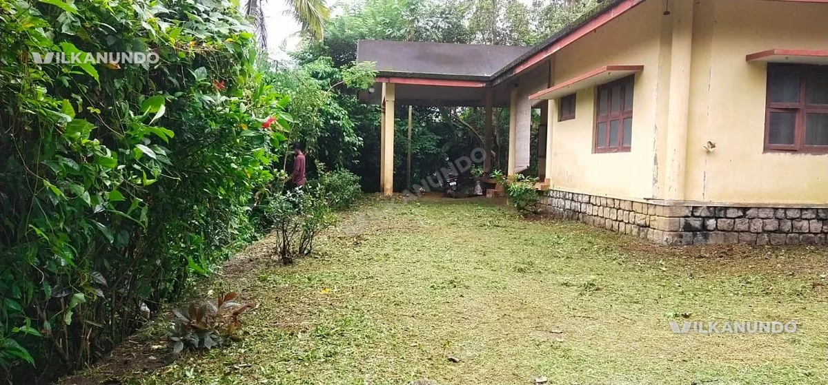 കാഞ്ഞിരപ്പള്ളി കൂവപള്ളിയിൽ 90 സെന്റ് വസ്തുവും വീടും വിൽപ്പനക്ക്