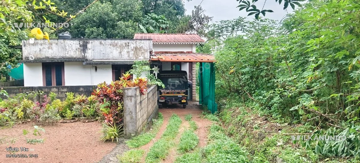 ചാഞ്ഞോടിയിൽ ഏഴ് സെൻറ് സ്ഥലവും സീറ്റ് ഇട്ട് സീലിംഗ് ചെയ്ത വീടും വിൽപ്പനയ്ക്ക് 24 ലക്ഷം രൂപ ചോദ്യ വില