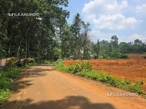 കോട്ടയം ജില്ലയിൽ പാലായിൽ, പാലാ അടുത്ത്, പാലാ - കോട്ടയം റൂട്ടിൽ  ഹൗസ് പ്ലോട്ടുകൾ വിൽപ്പനക്ക്.