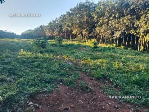 House Plot for sale @nelikuth asking price