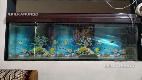 5 Feet Glass tank aquarium