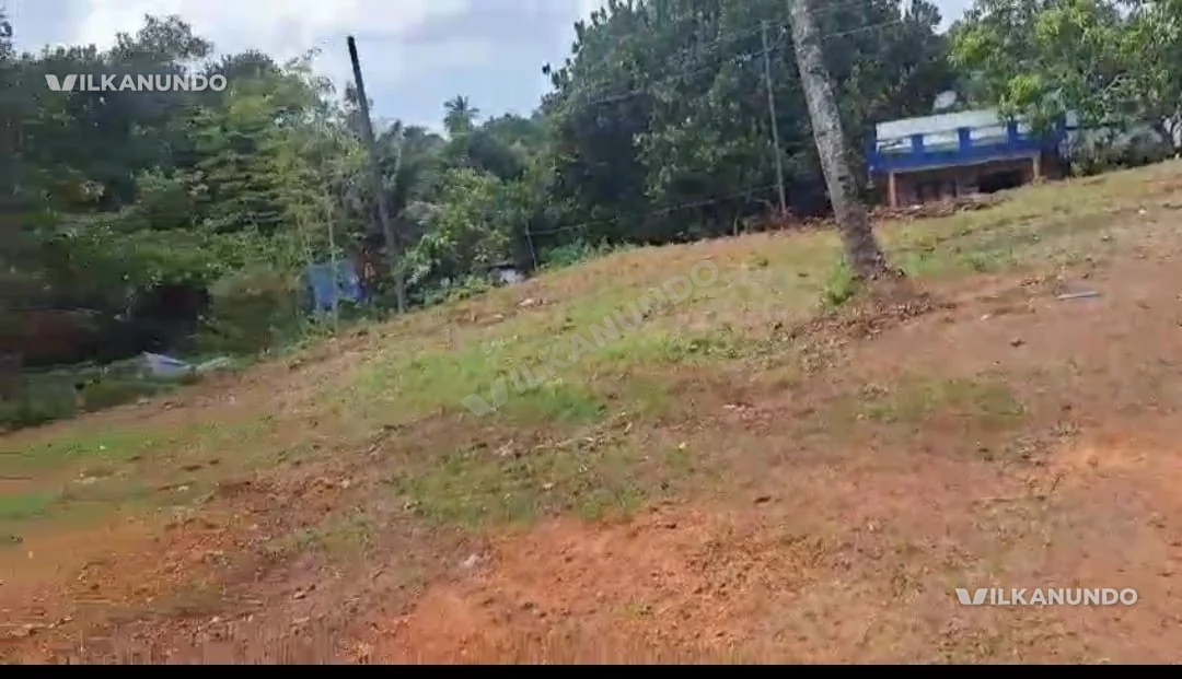 കൊല്ലം ജില്ലയിൽ കണ്ണനല്ലൂർ വടക്കേ മുക്ക് കല്ലുവര ജുമാ മസ്ജിദ് തൊട്ടടുത്തായി 30 സെന്റ് സ്ഥലം വിൽപനക്ക്
