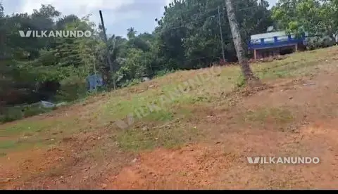 കൊല്ലം ജില്ലയിൽ കണ്ണനല്ലൂർ വടക്കേ മുക്ക് കല്ലുവര ജുമാ മസ്ജിദ് തൊട്ടടുത്തായി 30 സെന്റ് സ്ഥലം വിൽപനക്ക്