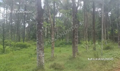 Thodupuzha,, (kanjiramattam,, location 25 cent  sale