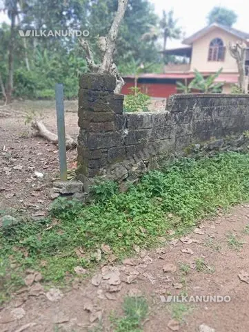 പത്തനംതിട്ട ജില്ല തിരുവല്ല ബെഥേൽപ്പടി അണ്ണവട്ടം മാർത്തോമാ പള്ളിക്ക് സമീപം13.5 സെന്റ് സ്ഥലം വിൽപനക്ക്