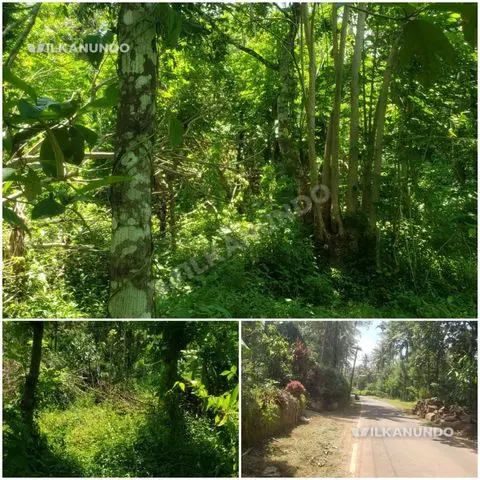 , മുള്ളൻകൊല്ലി പഞ്ചായത്തിൽ ബസ് റൂട്ടിൽ നിന്ന് 60 മീറ്റർ റോഡ് സൗകര്യത്തോടുകൂടിയ 2 ഏക്കർ സ്ഥലം വില്പനയ്ക്ക്..