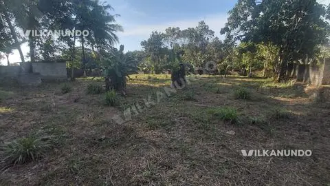 തിരുവല്ല ആഞ്ഞിലിത്താനം വീട് നിർമ്മിക്കാൻ അനുയോജ്യമായ 21 സെന്റ് സ്ഥലം വിൽപ്പനയ്ക്ക്.