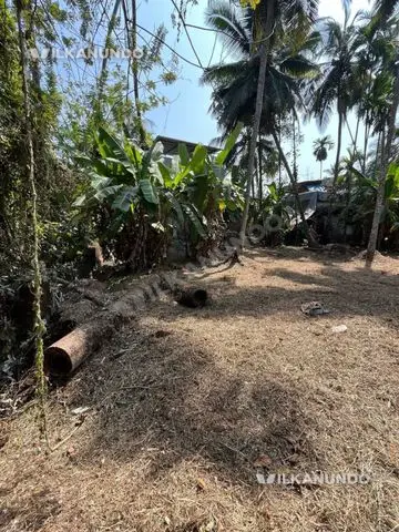 പ്രീമിയം റെസിഡൻഷ്യൽ പ്ലോട്ടുകൾ വിൽപ്പനയ്ക്ക് - കോഴിക്കോട് സരോവരം ബയോപാർക്കിന് സമീപം