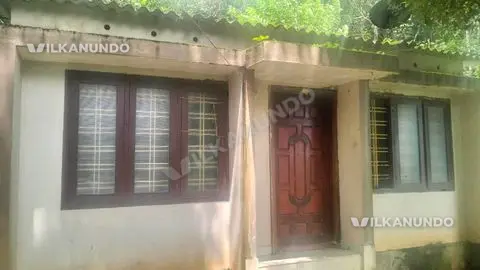 22 sent vattukalam pampadi