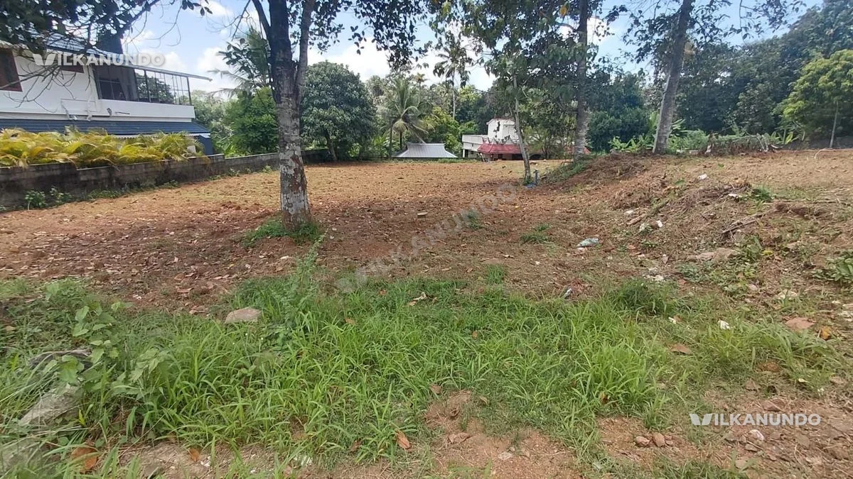 13.85 സെന്റ് സ്ഥലം വിൽപ്പനയ്ക്ക്.