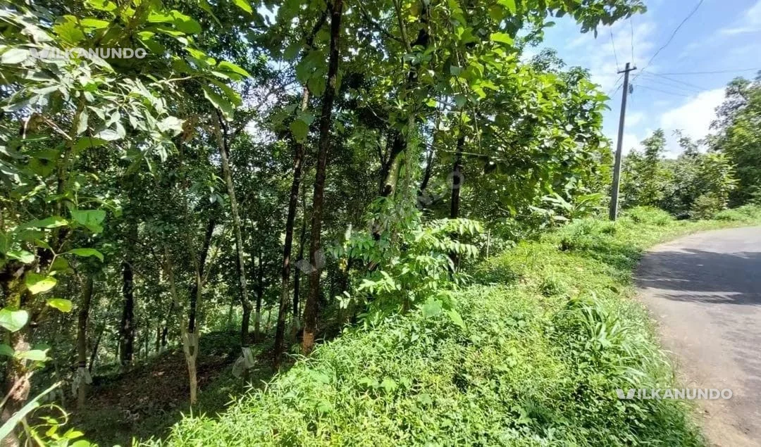 ഇടുക്കി ജില്ല കാഞ്ഞാർ വെള്ളിയാമാറ്റം റോഡ് സൈഡ്75 സെന്റ് സ്ഥലംറോഡ് സൈഡ് പ്രോപ്പർട്ടിവിൽപ്പനയ്ക്ക്