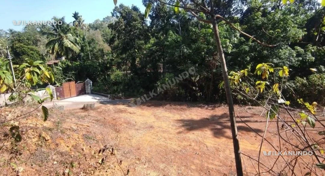 35 cent plot for sale