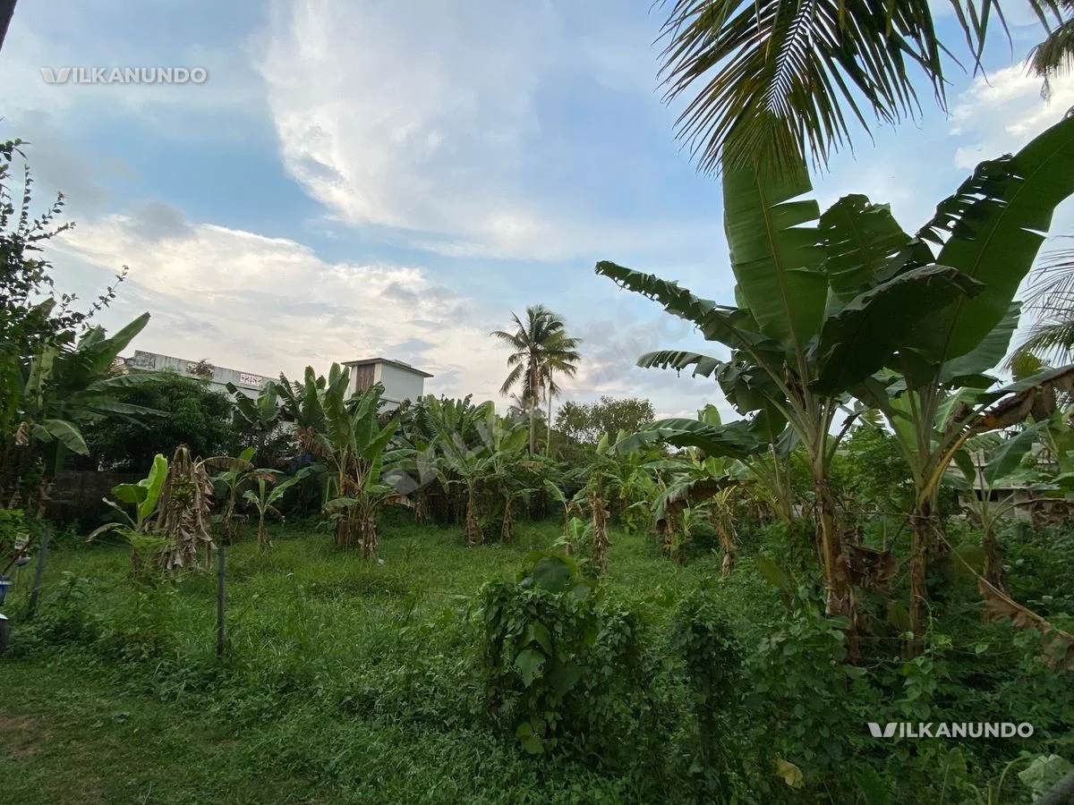 plot for sale