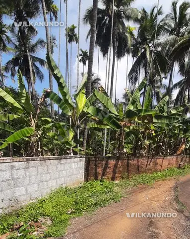 house plot