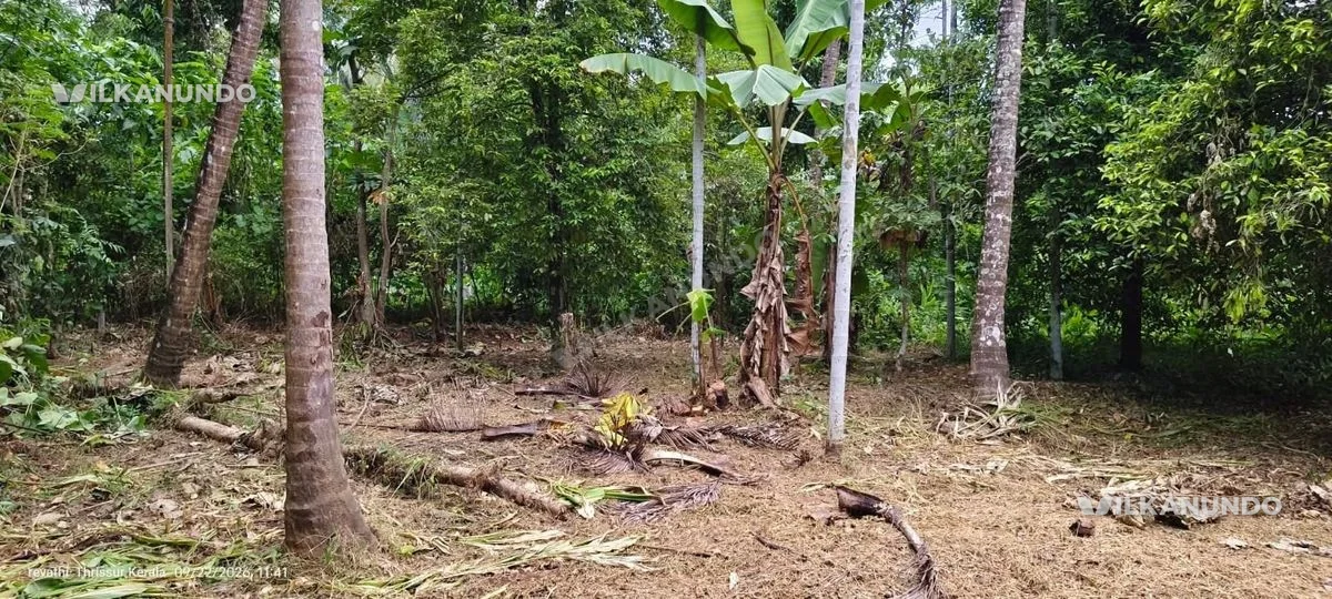 തൃശൂർ തൃപ്രയാർ റൂട്ടിൽ ചേർപ്പ് പെരുവനം അമ്പലത്തിനടുത്ത് 20 സെന്റ് സ്ഥലം വിൽപനക്ക്