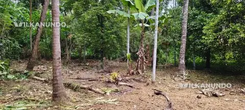 തൃശൂർ തൃപ്രയാർ റൂട്ടിൽ ചേർപ്പ് പെരുവനം അമ്പലത്തിനടുത്ത് 20 സെന്റ് സ്ഥലം വിൽപനക്ക്