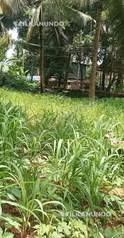 KOZHIKODE MEDICAL COLLAGE19 CENT HOUSE OR APPARTMENT PLOT