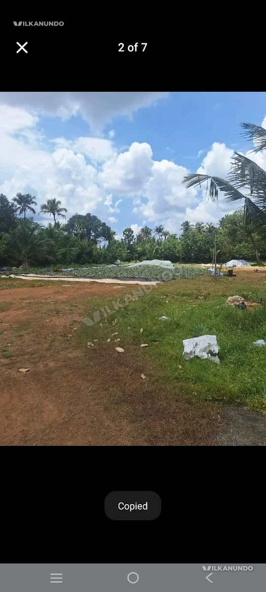 100 Cent Residential land for sale.location Nedumbassery .4 km from airport.500