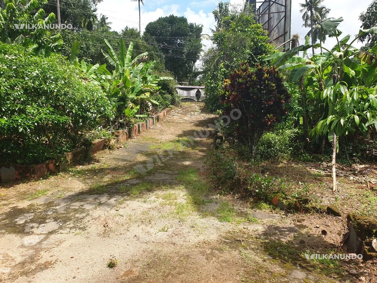 Highway Frontage Plot For Sale - Irinjalakuda