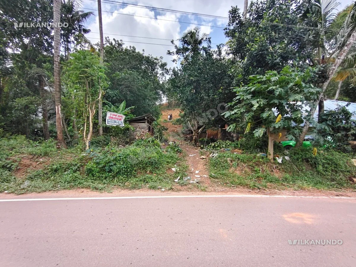 50 cent land. 50meters road frontage.