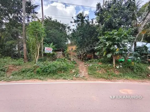50 cent land. 50meters road frontage.