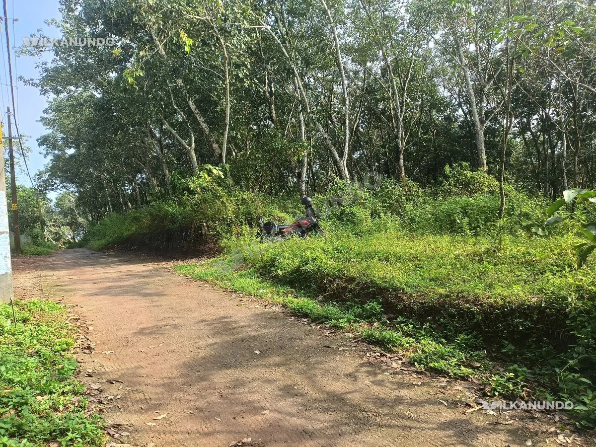 1.5 Acre Rubber Tree (4year old) land, Kangazha