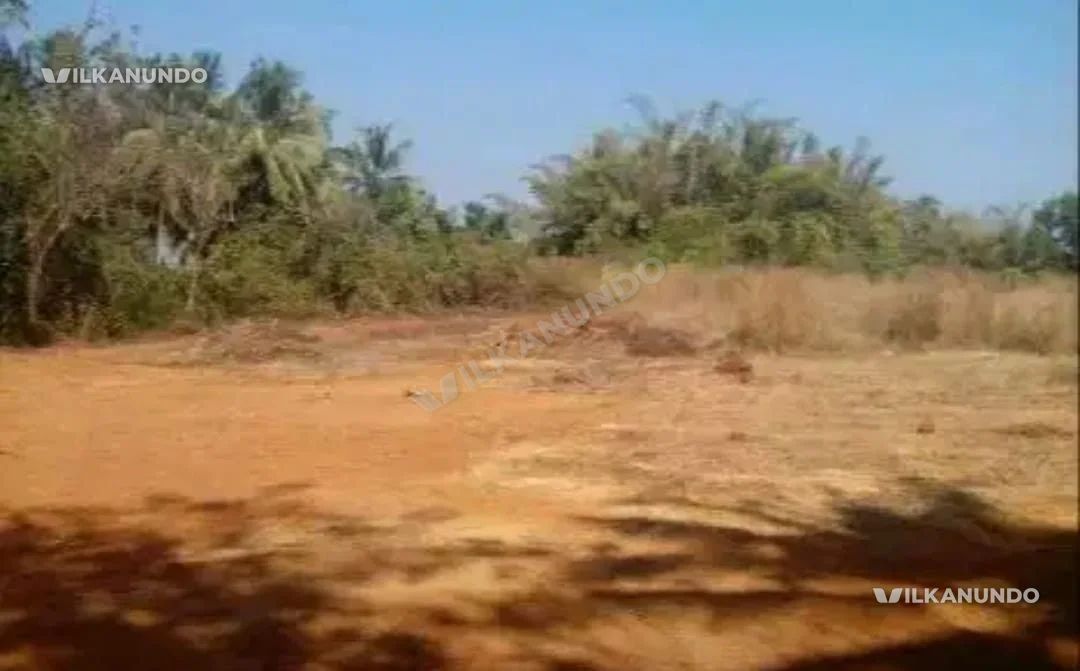 ഗുരുവായൂർ ചൂണ്ടൽ സെൻറ് ജോസഫ് ആശുപത്രിക്ക് പിന്നിൽ