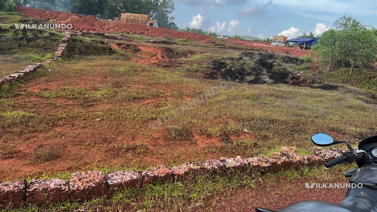 Land for sale 55k per cent