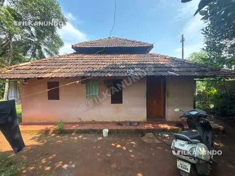 house plot sale